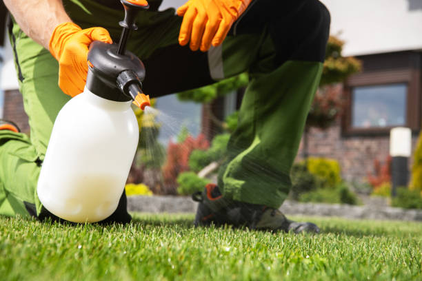 Pest Control Cost in El Mirage, AZ